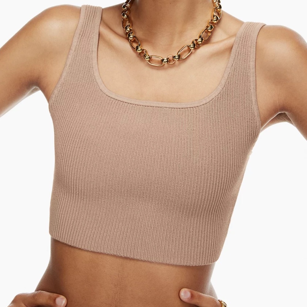 Aritzia Babaton Scuplt Tank